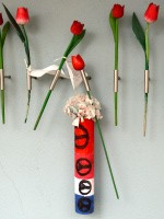 Rote Tulpen - blog